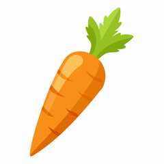 carrot isolated on white