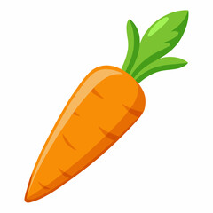 carrot isolated on white