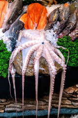 octopus on the market with other fresh fish on the stall