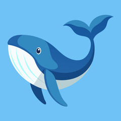 illustration of a cartoon shark