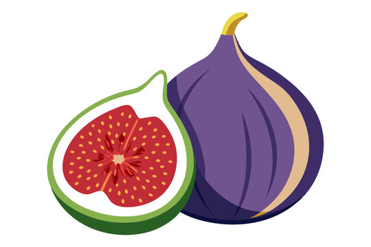 purple fig fruit, sliced, green, red clip art preview