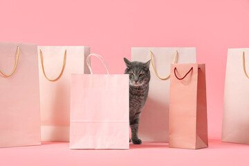 Cute cat and shopping bags on pink background