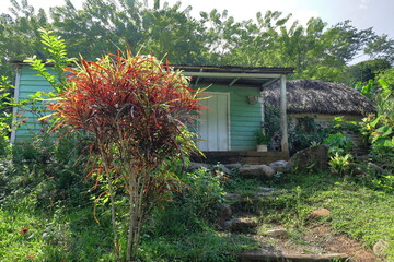 Mint green-turquoise-white wood huts -bohios- with corrugated metal and thatch roofs,...