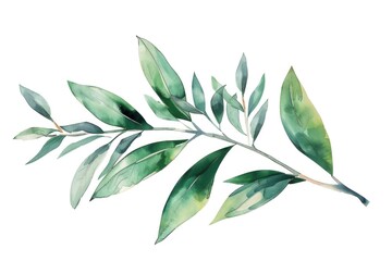 Fototapeta premium A delicate watercolor painting of a branch with lush green leaves