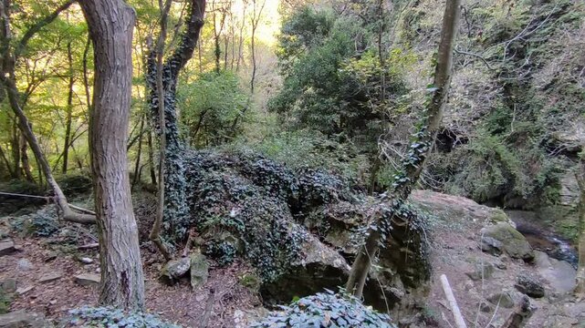 Carpinone - Cascata Carpino al termine del sentiero di accesso
