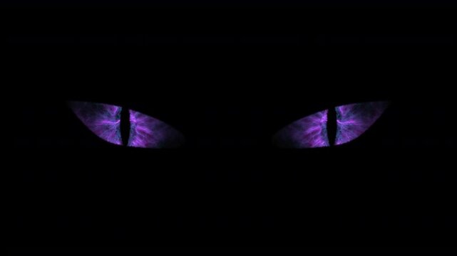 Mysterious violet cat-like gaze.