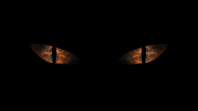 Orange mysterious feline gaze.