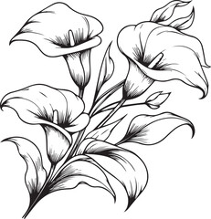 Minimalist single iris flower drawings, calla flower vector art, drawing outline calla flower tattoo, small calla flower tattoo, ink illustration clipart isolated on white,  flower coloring  sheet