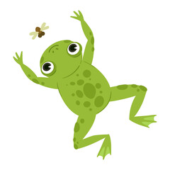 Cute frog. Cartoon green frog hunting an insect, wildlife water froglet animal flat vector illustration. Funny amphibian