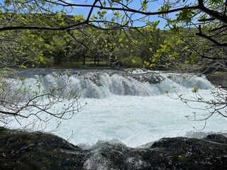 Ogar's waterfall or Ogarov buk waterfall on the Zrmanja river, Muskovci (Velebit Nature Park,...