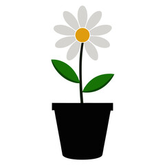 Flat Daisy Flower Plant Vector Art  Design.