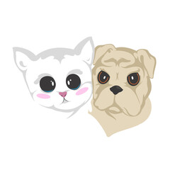 Fototapeta premium cat and dog