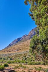 Outdoor, nature and view of mountain growth, holiday location and peace in sustainable landscape. Earth, countryside and hills to explore on vacation, remote adventure and wild environment for travel