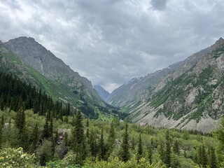 Fototapeta premium in the mountains