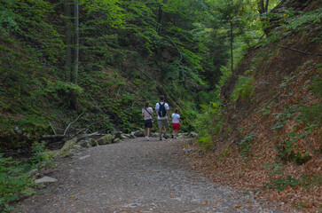 Fototapeta premium Tourists in the Beskid Mountains on their way to Barania Gora