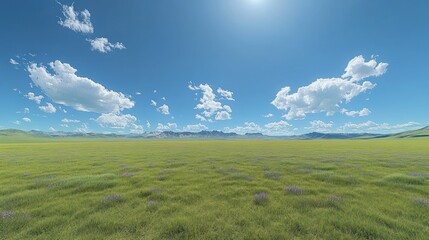 Fototapeta premium A vast, open field of green grass with purple wildflowers under a bright blue sky.