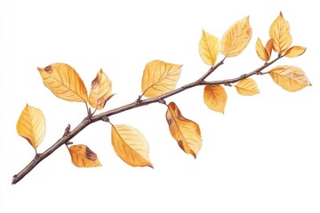 Fototapeta premium A beautiful watercolor illustration of a branch with bright yellow leaves, ideal for nature-inspired designs and projects