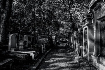 photographs of walks and tombstones from the Paris cemetery,