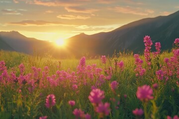 Vibrant Sunrise Over Flowering Field in Mountains