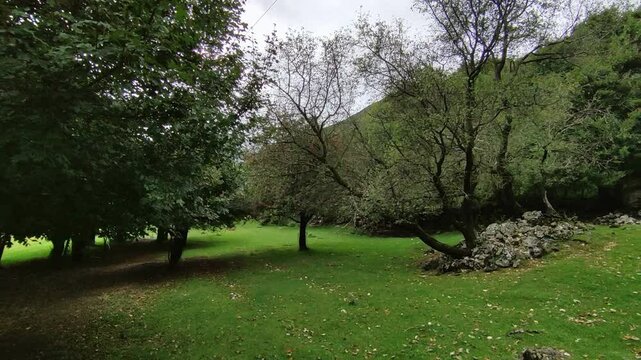 Villetta Barrea - Centro Visita Daini dal cancello di accesso