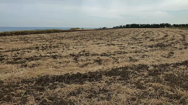 Vasto - Campi coltivati nella Riserva Naturale di Punta Aderci