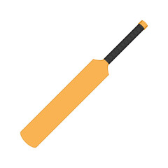 A Cricket bat isolated on a white background, vector illustration,  sports equipment