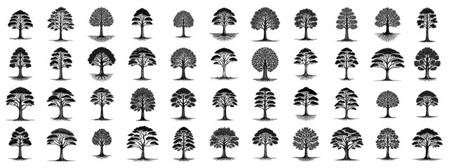 collection of tree silhouettes in diverse shapes, black vector design