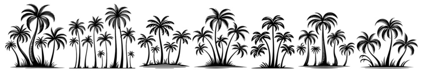 Fototapeta premium tropical palm trees, black vector silhouette