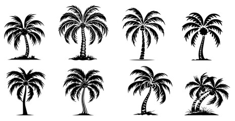 tropical palm trees, black vector silhouette icons © Kaz