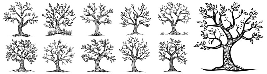collection of hand-drawn tree silhouettes with branches and leaves, black vector