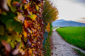 Herbst im Rupertiwinkel