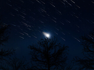trees in shadow in long exposure of starry night sky