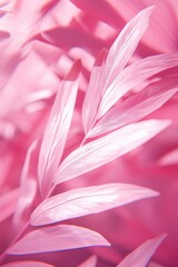 Fototapeta premium Close-up photo of a plant with vibrant pink leaves