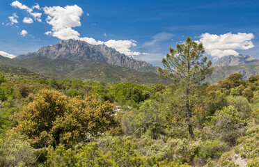 Im gebirgigen Hinterland im Norden von Korsika