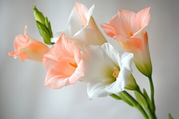 A bouquet of pink and white flowers arranged in a decorative vase