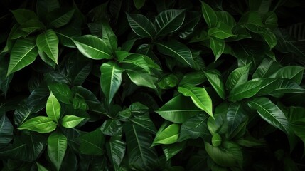 Lush Green Leaves Background for Nature Themes