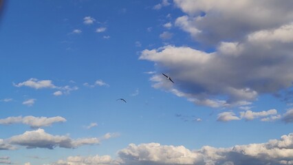 Fototapeta premium clouds and sky