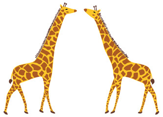 Fototapeta premium Flat design vector illustration of two giraffes full figure seen from the side