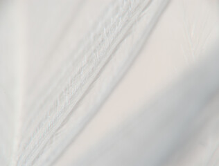 A close-up of white clouds on a sunny day