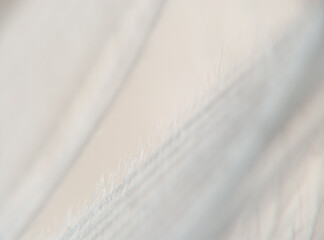 A close-up of white clouds on a sunny day