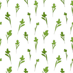 Micro green sprouts seamless pattern. Hand drawn cilantro leaves in doodle style, vector illustration on white background. Decorative for wrapping and packaging, organic plants