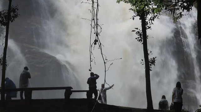 Natural video background of water from a high waterfall on a big mountain, amidst big trees in a tropical forest, with ferns, moss, flowers, cool and windy atmosphere during a nature trip.