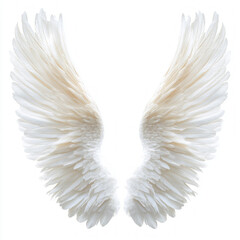 Angel Halo Isolated