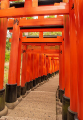 A torii is an iconic gate in Japan, marking the entrance to a sacred space, symbolizing the...
