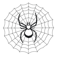 Obraz premium a black and white line drawing of a spider web.