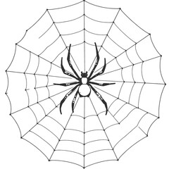 Obraz premium a black and white line drawing of a spider web.