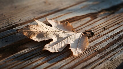 Captivating Autumn Leaf on Weathered Wood: A Close-Up Shot Highlighting the Beauty of Nature's Colors and Textures in a Serene Environment
