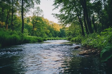 Serene Stream Flowing Through Lush Green Forest