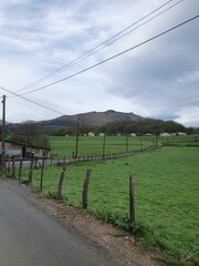 Obraz premium View of French Way