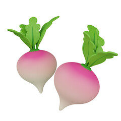 3d render radish   illustration